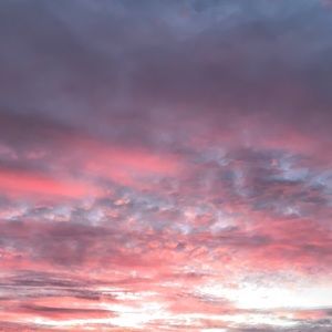 Meet your Posher, Maya